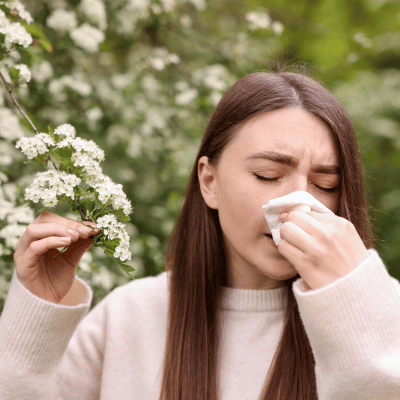 Hay fever